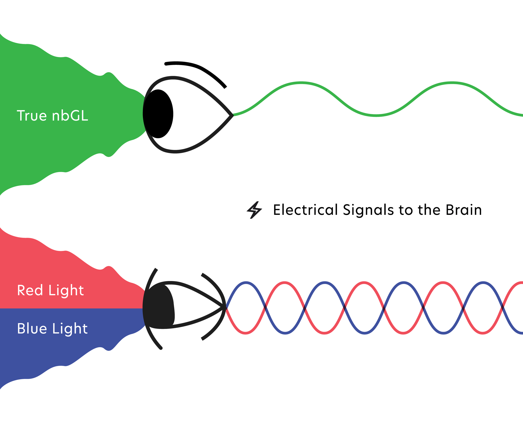 Narrow band green light electrical signals compared to red and blue light.