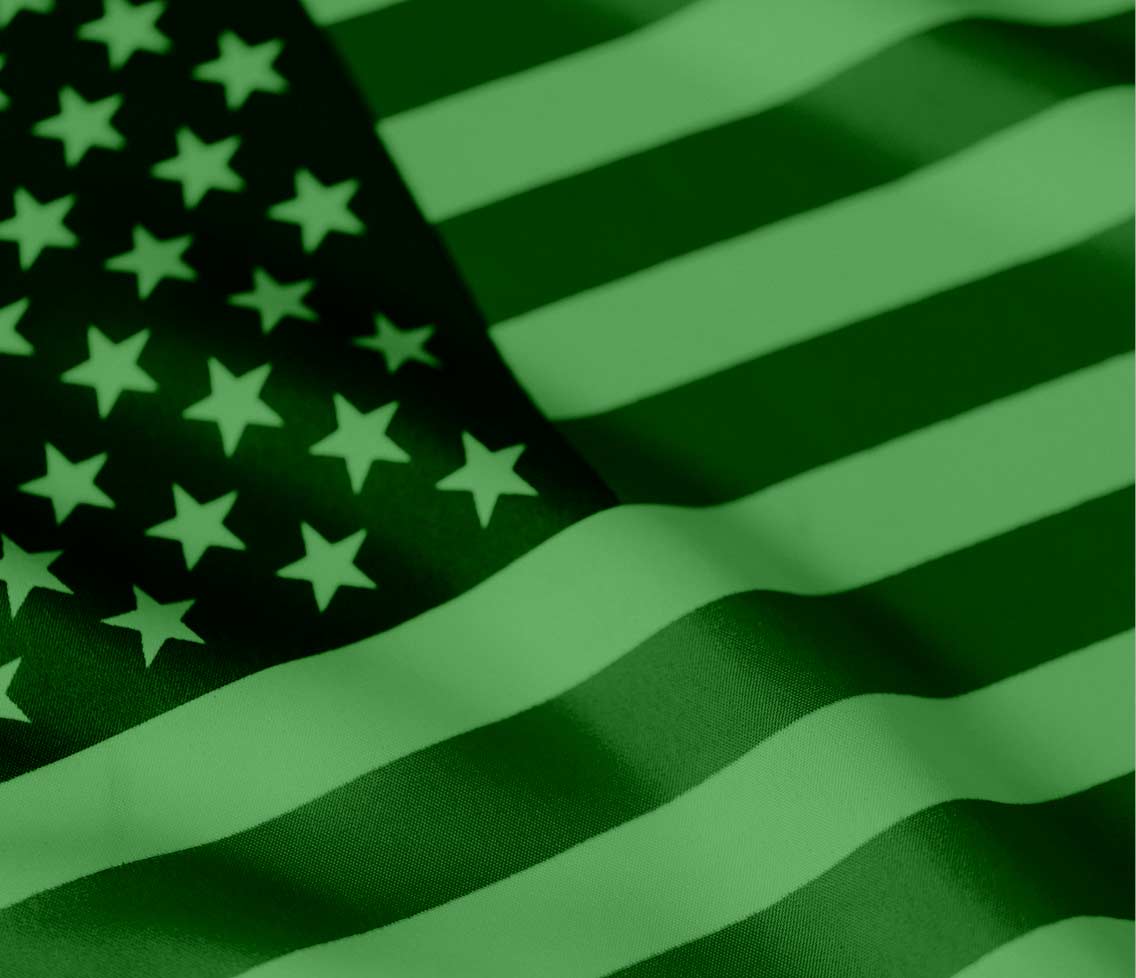 The US Flag as seen through narrow band green light lenses.