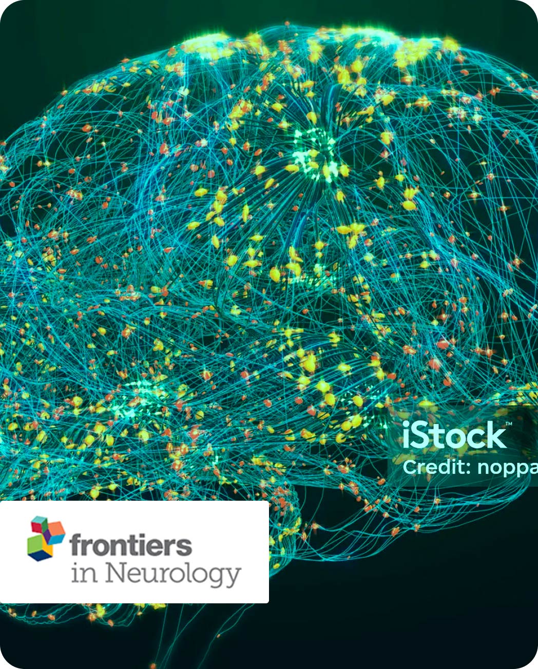 The cover of a research journal